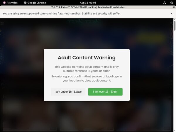 Tuk Tuk Patrol Hd Porn Videos