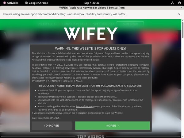 Wifey Account Passwords