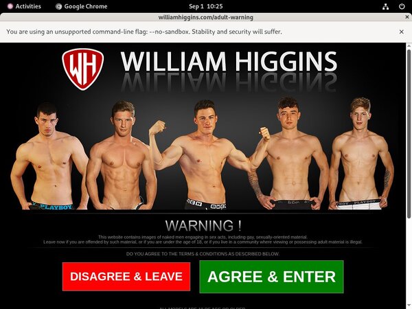 Williamhiggins.com Tour