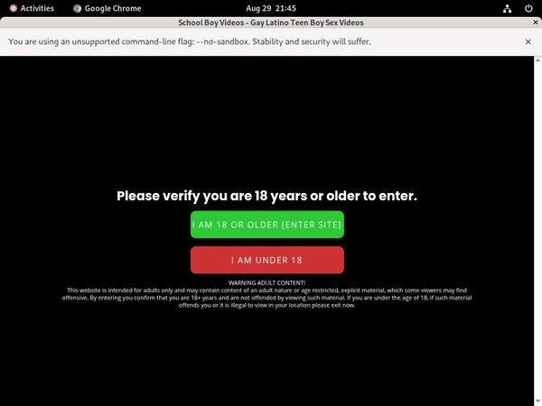 Working Schoolboyvideos Password