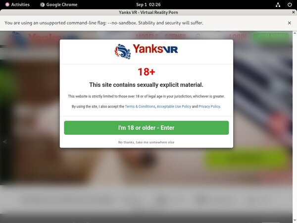 Yanks VR Active Accounts