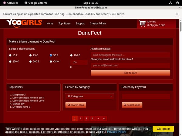 Yoogirls.com Allow Paypal