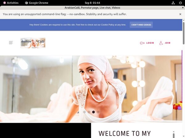 ArabianCalli Wnu.com Page