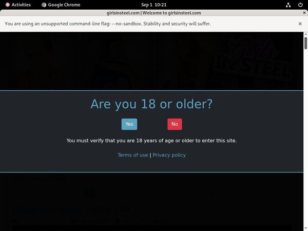 Girlsinsteel.com Account Login