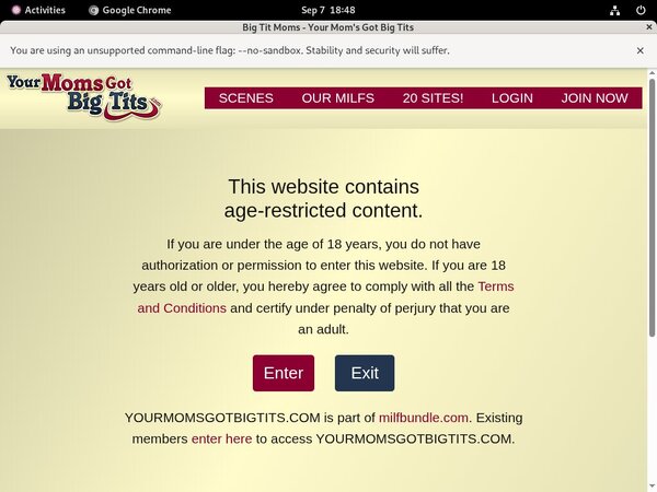 Fotos De Yourmomsgotbigtits.com
