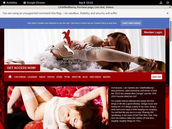 Acc LittleRedBunny