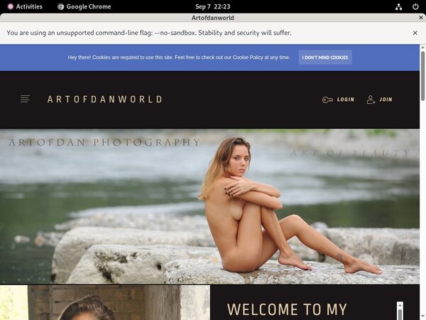 Artofdan Without Credit Card